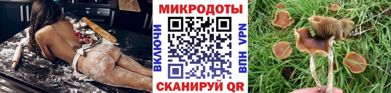 Галлюциногенные грибы MAGIC MUSHROOMS как найти Лиски