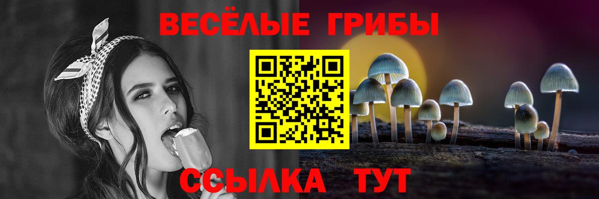 Галлюциногенные грибы Psilocybine cubensis  Псилоцибиновые грибы мухоморы  Лиски  Вход с VPN 